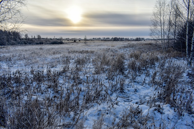 Natur Russlands in einem frostigen Winter