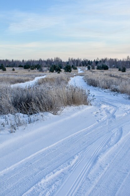 Natur Russlands in einem frostigen Winter