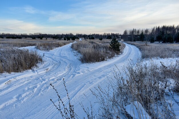 Natur Russlands in einem frostigen Winter