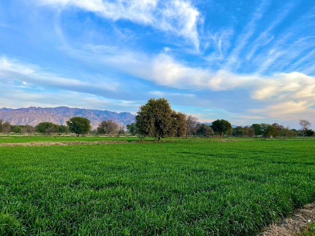 Natur und Berge