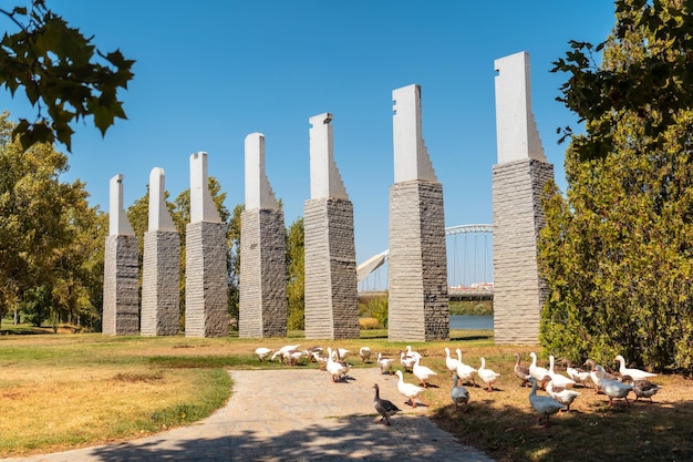 Natur und enten am denkmal der sieben stühle neben dem fluss in merida extremadura spanien