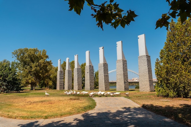 Natur und enten am denkmal der sieben stühle neben dem fluss in merida extremadura spanien