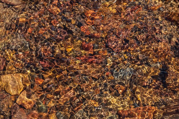 Foto natura de fluxo de água clara com fundo pedregoso variado à luz do sol textura colorida de fluxo de montanha com água mineral ao sol brilhante padrão de pedras multicoloridas à luz do sol na água da nascente