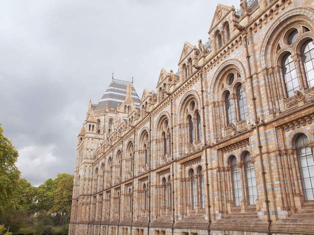 Natural History Museum, London, Großbritannien