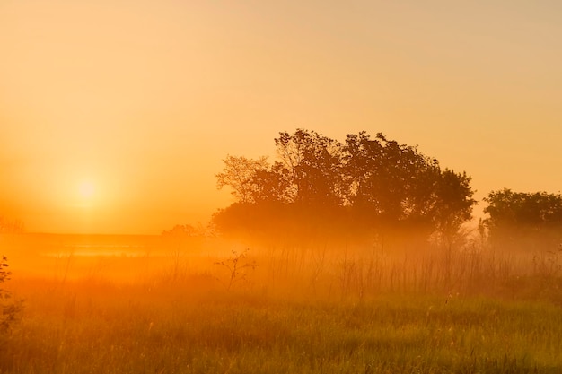 naturaleza al amanecer