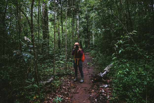 Naturaleza asiática del viaje de la mujer. Viajar relajarse. Caminar estudiar el sendero Naturaleza en el bosque.