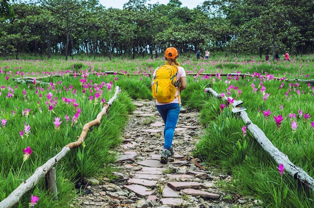 Naturaleza asiática del viaje de la mujer. Viajar relajarse. Fotografía de campo de flores de pepino sessilis.