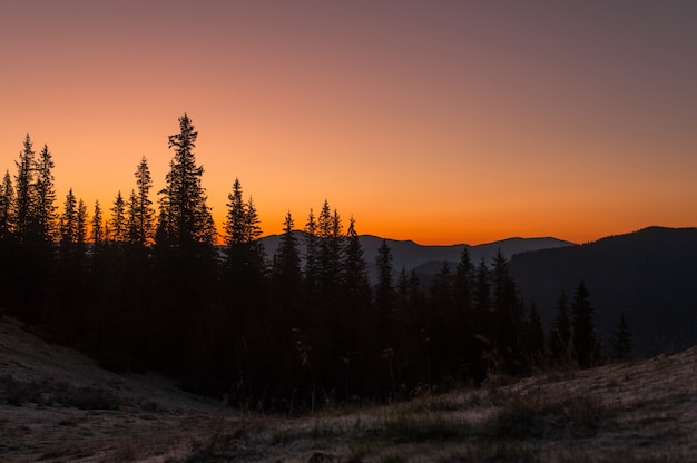 naturaleza, bosque, montañas y puesta de sol