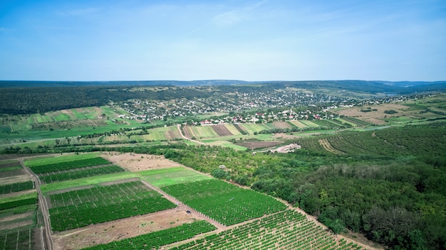 Naturaleza con campo verde y cielo azul.