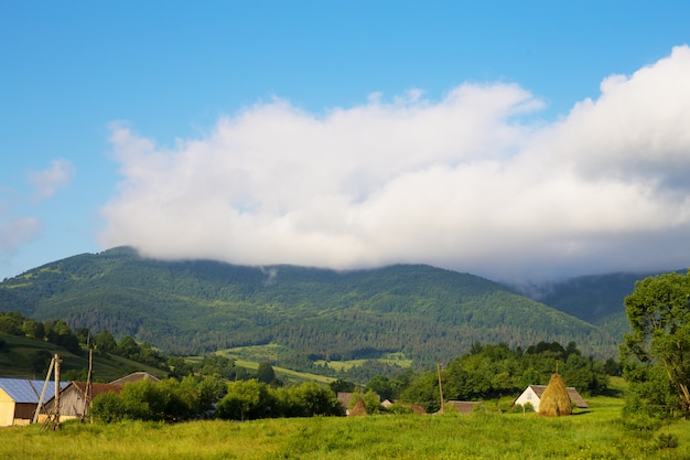 Naturaleza de los Cárpatos en verano