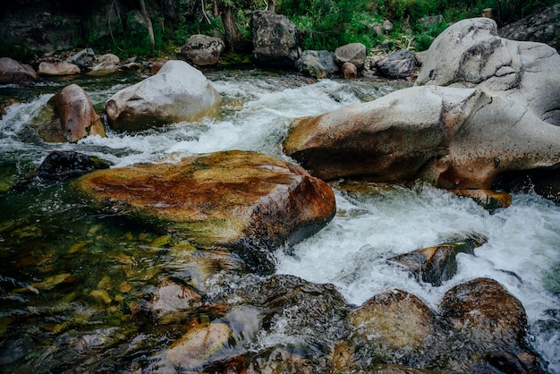 Naturaleza con cascadas de arroyo de montaña.