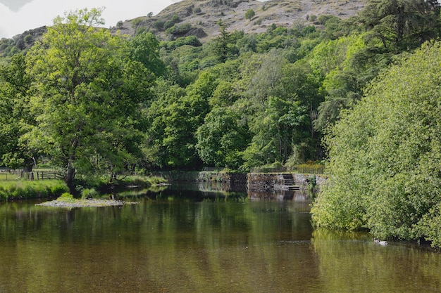 Naturaleza entre las colinas de Inglaterra