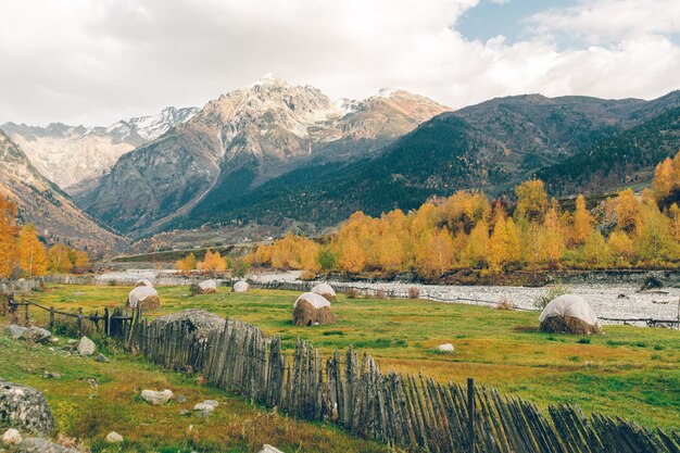 Naturaleza colorida escénica de senderos de bosque y río en país europeo.