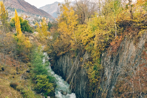 Naturaleza colorida escénica de senderos de bosque y río en país europeo.