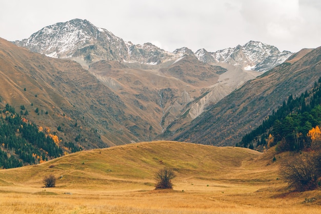 Naturaleza colorida escénica de senderos de bosque y río en país europeo.