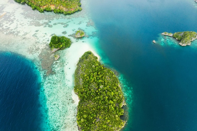 La naturaleza cuenta con el arte más hermoso de la tierra Toma en ángulo alto de las maravillosas islas Raja Ampat en Indonesia
