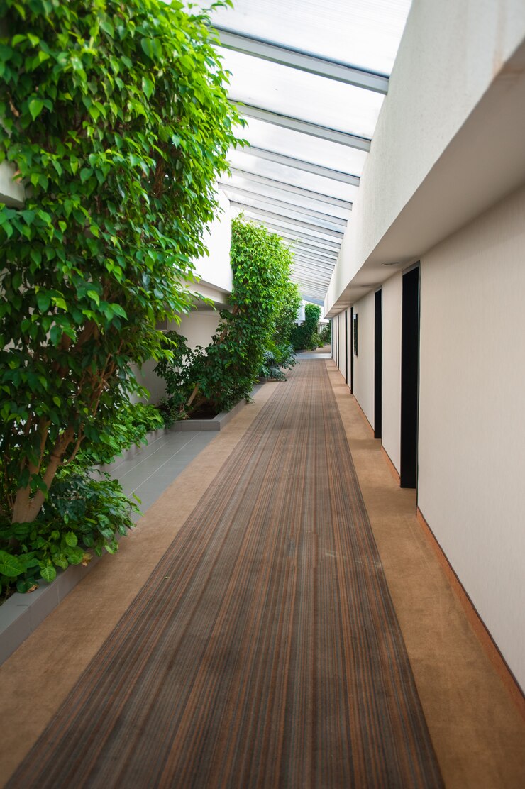 Naturaleza dentro del edificio, corredor y follaje.