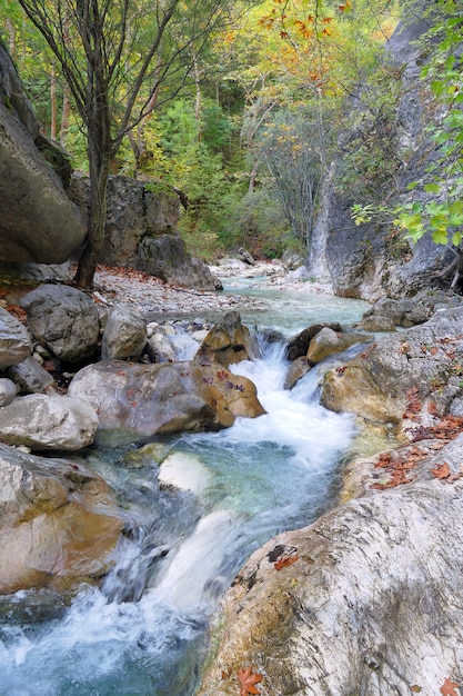 Naturaleza encantada al norte de Pozar en Maecdonia, Grecia