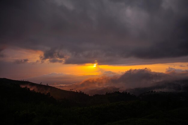 Foto la naturaleza es paz