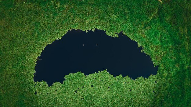 La naturaleza es realmente el mejor arte.