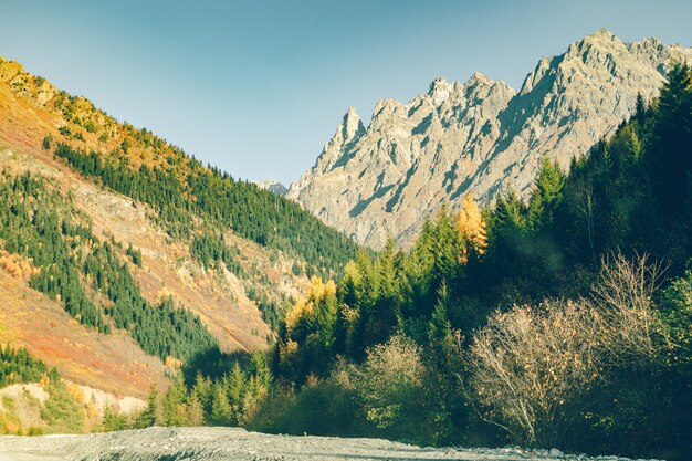 Naturaleza escénica de las montañas del Cáucaso senderismo senderos en Georgia.