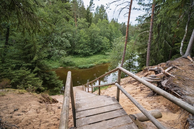 Naturaleza estonia una escalera de madera en el bosque conduce desde un acantilado hasta la foto del río Valge en un día de verano Foto de alta calidad