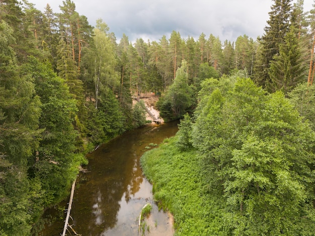 Naturaleza estonia en verano una vista de drones del río Valge que fluye a través del bosque