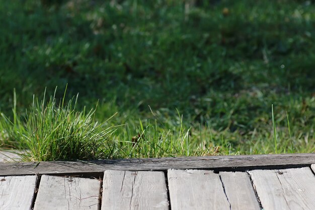 naturaleza de fondo de madera