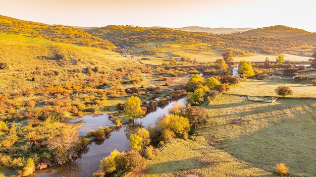 La naturaleza del fondo del paisaje de un río con vegetación de diferentes verdes en otoño al amanecer en Badajoz España