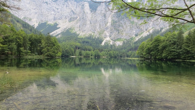 Naturaleza HD paisaje fondo de pantalla