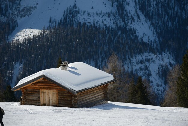 naturaleza de invierno de montaña