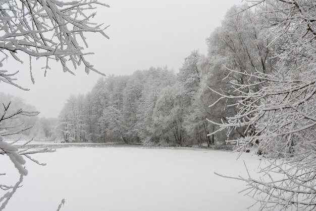 Foto naturaleza en invierno nieve blanca en los árboles y en el lago paisaje de invierno tranquilo