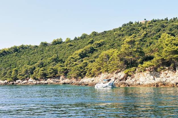 Naturaleza de la isla de Lokrum en el mar Adriático, Dubrovnik, Croacia