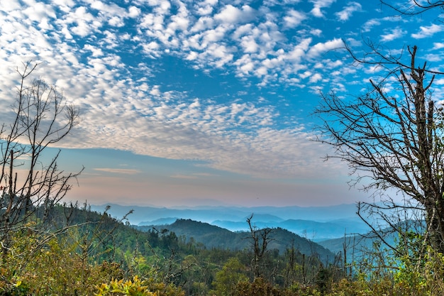 Naturaleza mañana paisaje con nubes