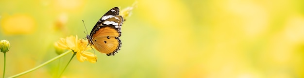 Naturaleza de la mariposa y la flor en el jardín utilizando como fondo la portada del día de las mariposas o el diseño de papel tapiz de la página de aterrizaje del folleto de la plantilla de banner