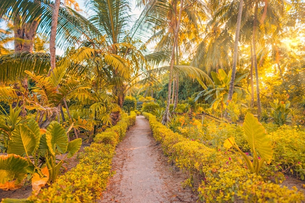 Naturaleza mística del bosque cubierto de musgo de la fantasía. Paisaje de naturaleza exótica tropical, hojas de palmera alrededor