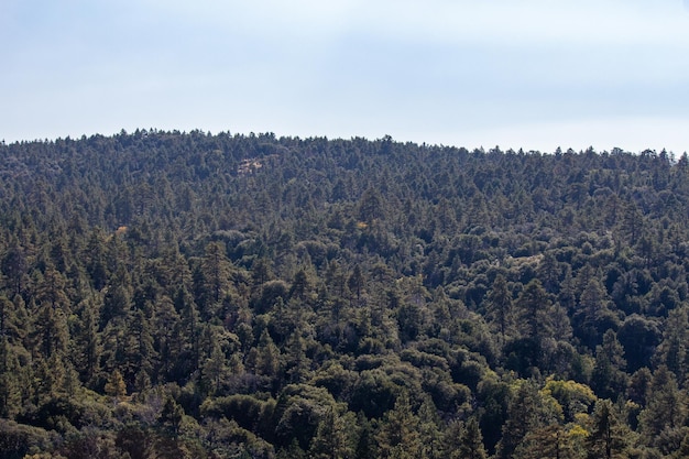 Naturaleza montaña paisaje monte laguna california