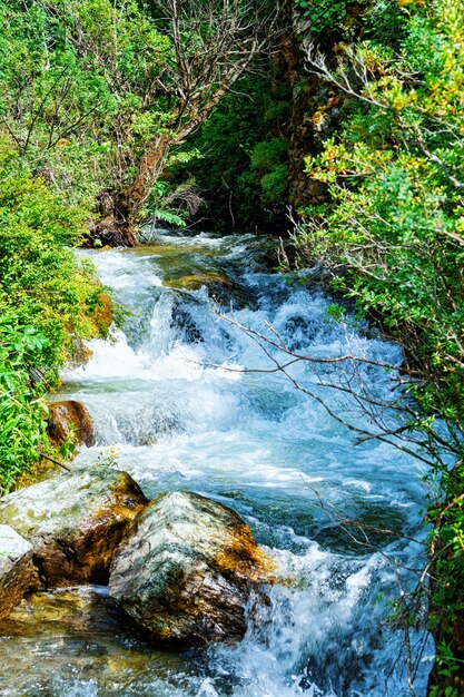 Naturaleza de las montañas de Altai y Cascada en Siberia en Rusia