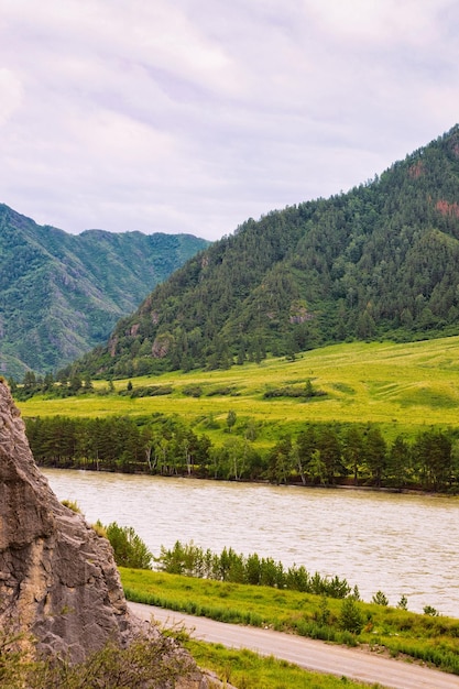 Naturaleza de las montañas de Altai con el río Katun en Siberia en Rusia