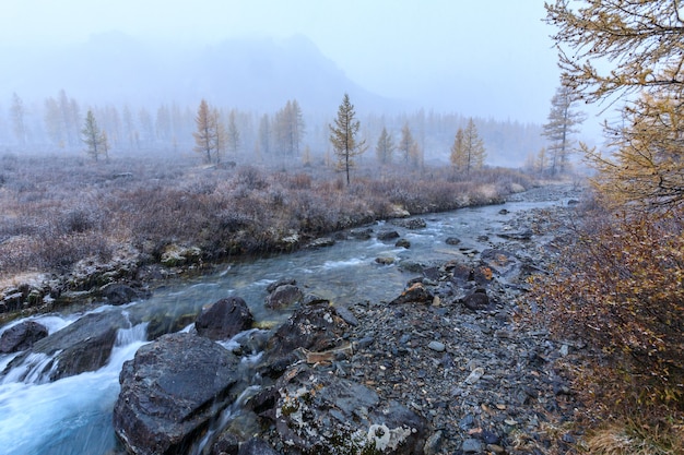 La naturaleza de las montañas de Altai Rusia