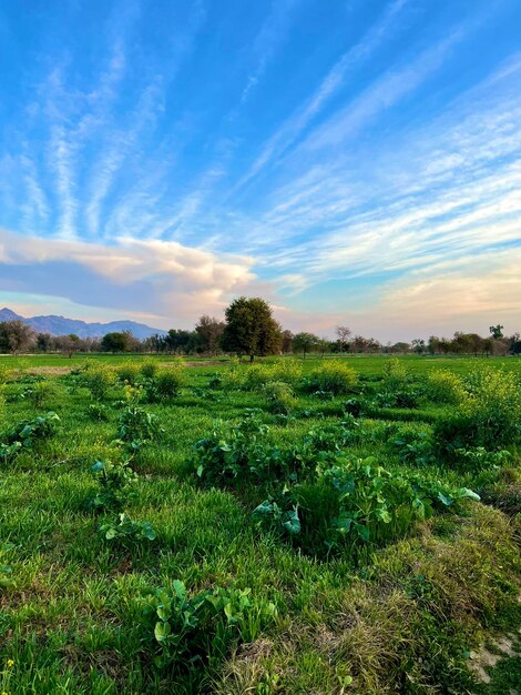 naturaleza y montañas