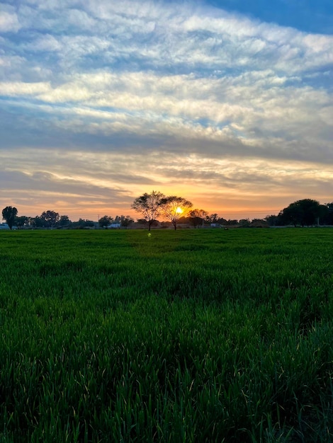 naturaleza y montañas