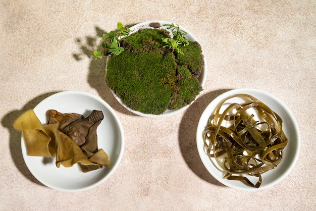 Foto naturaleza muerta de algas y musgos en un plato