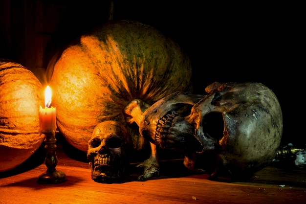 Foto naturaleza muerta con calavera, vela y calabaza