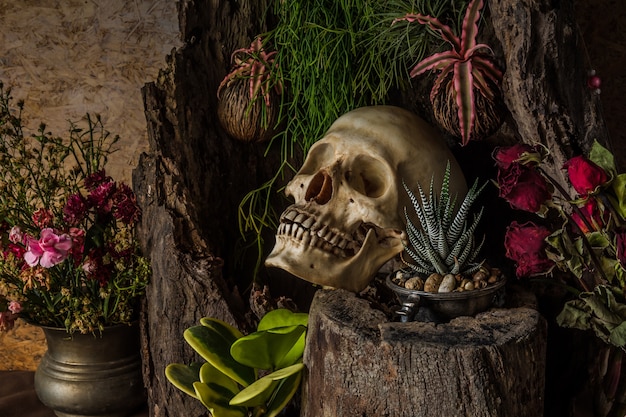 Naturaleza muerta con un cráneo humano con plantas del desierto, cactus, rosas y flores secas.