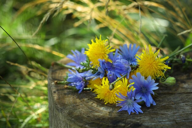 naturaleza muerta con flores azules y amarillas en la naturaleza