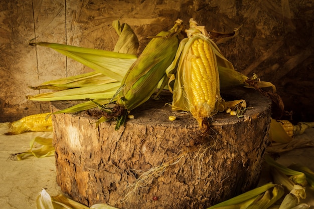 Naturaleza muerta con maíz