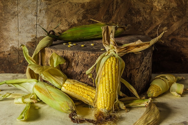 Naturaleza muerta con maíz