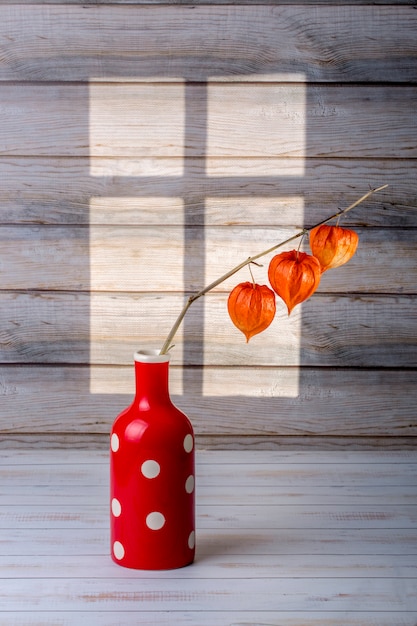 Naturaleza muerta con una rama de physalis en un jarrón rojo