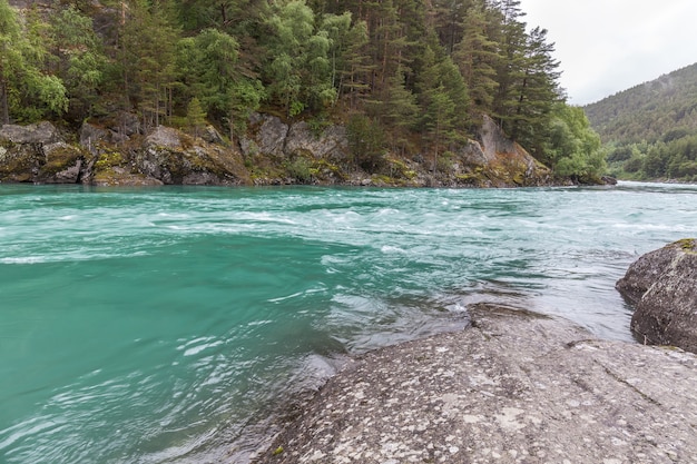 Naturaleza de Noruega. Río de montaña con agua clara